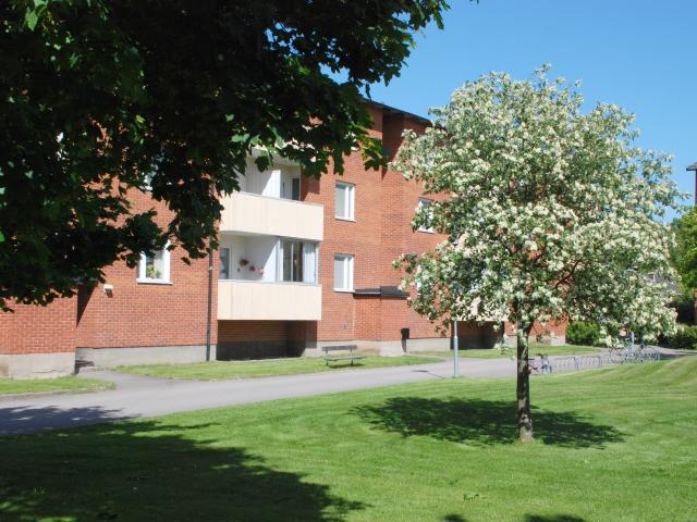 Lägenhet hyra i Skänninge, Östergötland