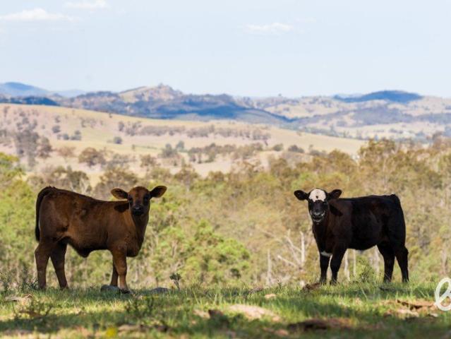 Land for sale in Greenlands, Singleton Council