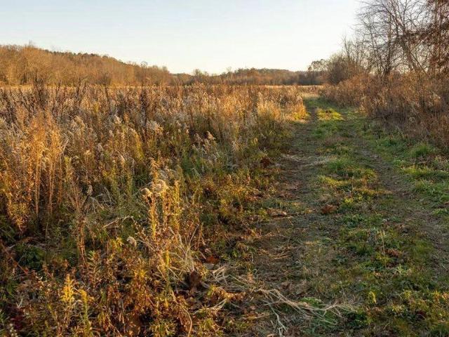 Land for sale in Roseville, Ohio