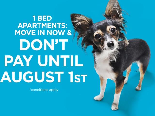 Apartment for rent in Saskatoon, Saskatchewan