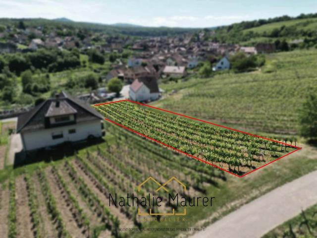 Terrain vente à Molsheim, Rosenwiller