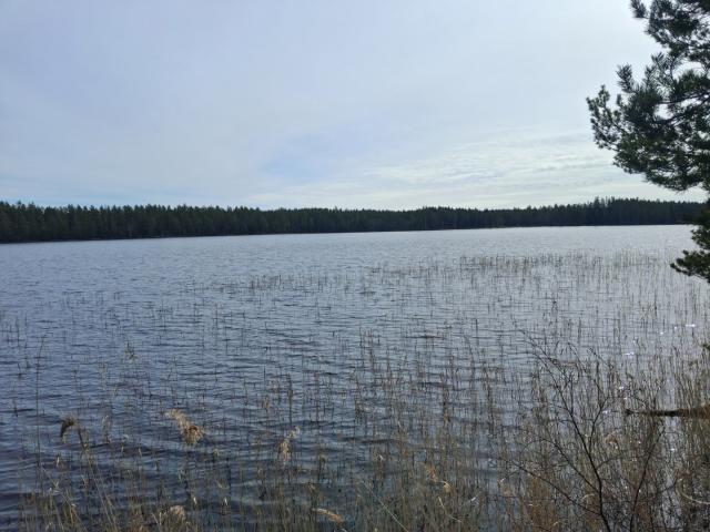 Gård till salu i Örebro