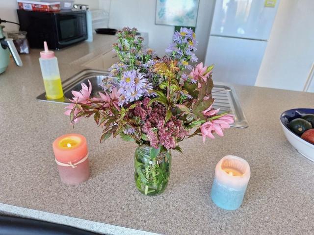 Apartment for rent in Otakou