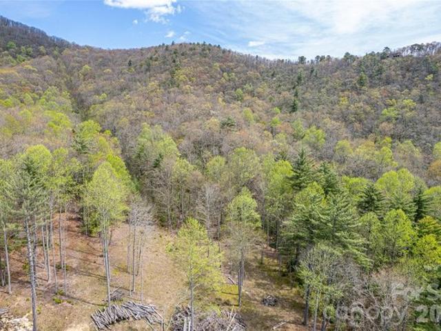 Land for sale in Transylvania, North Carolina