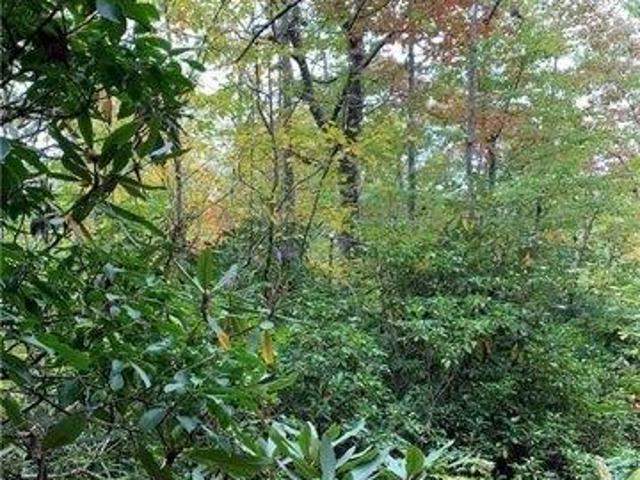 Land for sale in Rosman, North Carolina