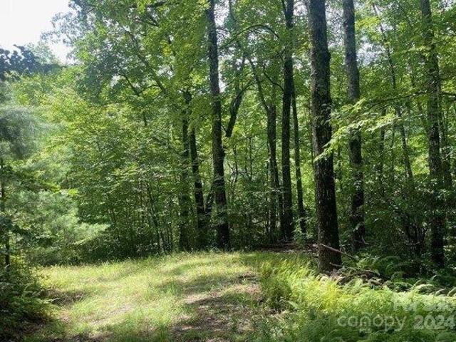 Land for sale in Rosman, North Carolina