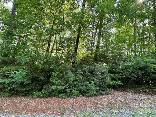 Land for sale in Rosman, North Carolina