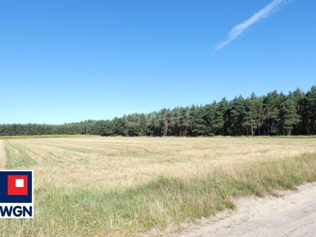 Grunt na sprzedaż w Sieroszewice, Wielkopolskie