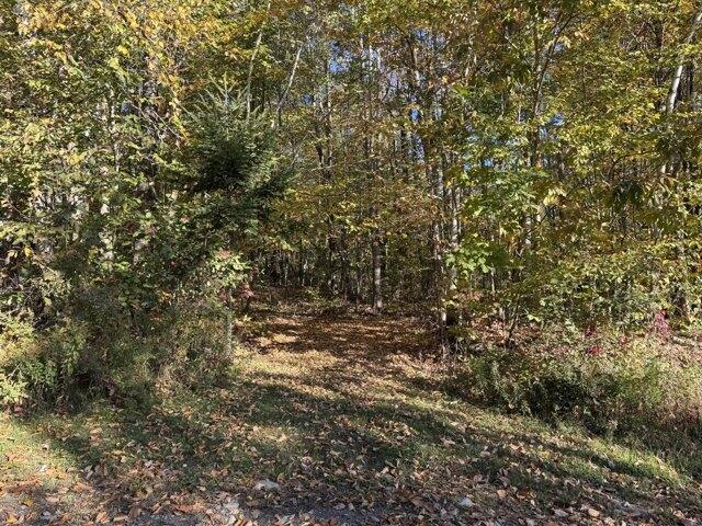 Land for sale in Saint Albans, Maine