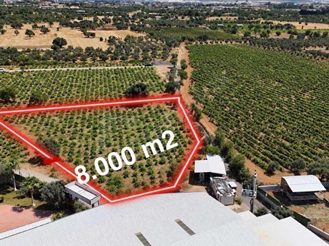 Dereköy Mahallesi, Menderes içerisinde satılık Arsa