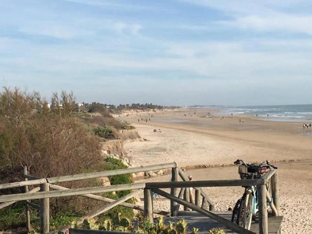 Apartamento en alquiler en Costa Ballena, Costa Noroeste