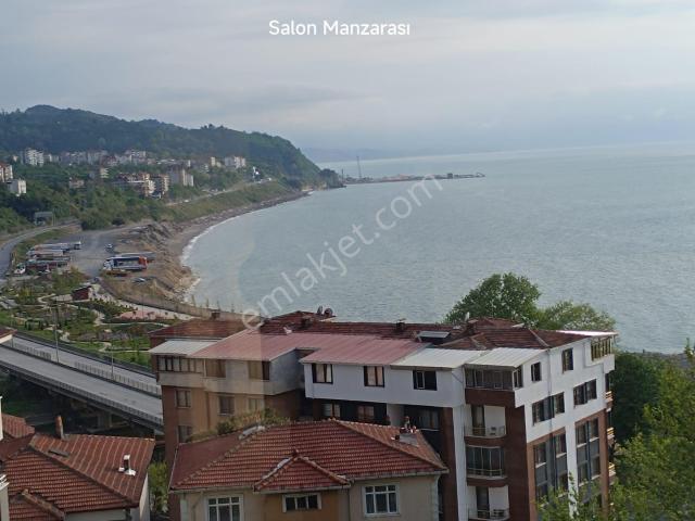 Alapli, Zonguldak içerisinde kiralık mülk