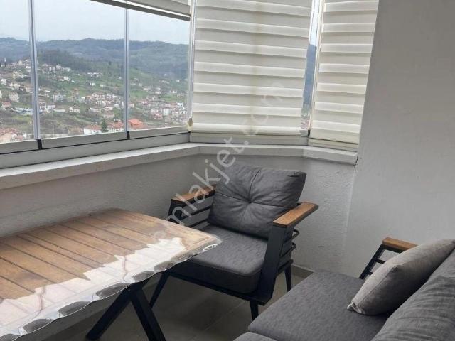 Alapli, Zonguldak içerisinde kiralık mülk