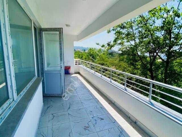 Alapli, Zonguldak içerisinde satılık mülk