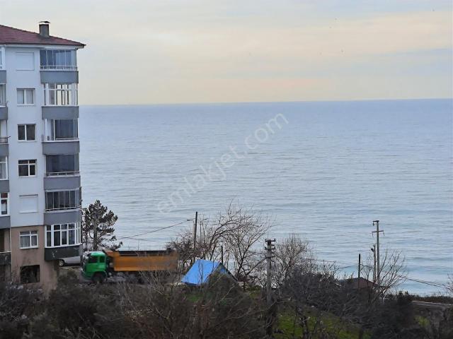 Alapli, Zonguldak içerisinde satılık mülk