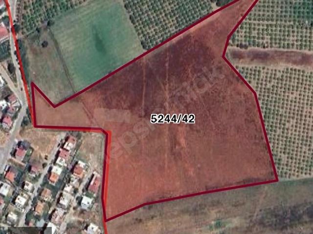 Payamlı Mahallesi, Seferihisar içerisinde satılık Arsa