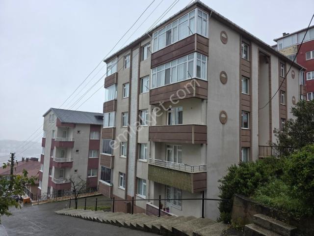 Alapli, Zonguldak içerisinde satılık mülk
