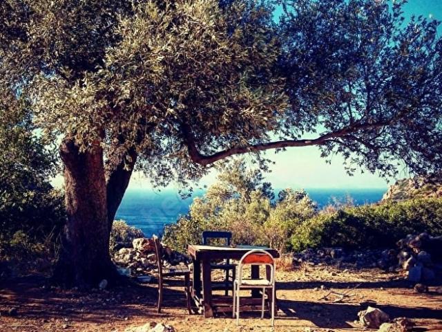 Muğla Merkez, Muğla içerisinde satılık mülk