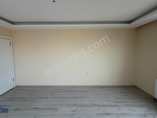 Altınova Mahallesi, Ayvalık içerisinde kiralık mülk