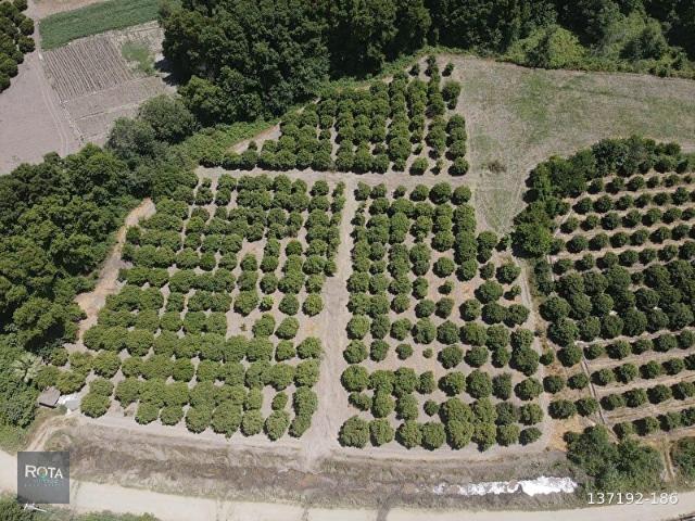 Muğla Merkez, Muğla içerisinde satılık Arsa