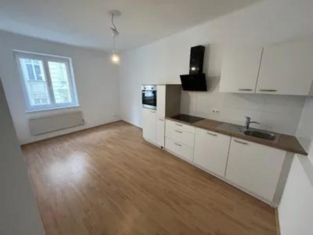 Apartment mieten in KG Innere Stadt, Wien