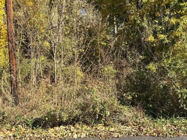 Land for sale in Falling Waters, West Virginia