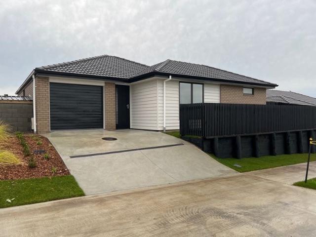 House for rent in Hamilton, Waikato