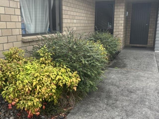 House for rent in Hamilton, Waikato