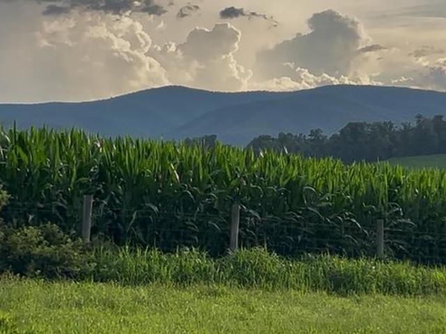 Land for sale in Virginia