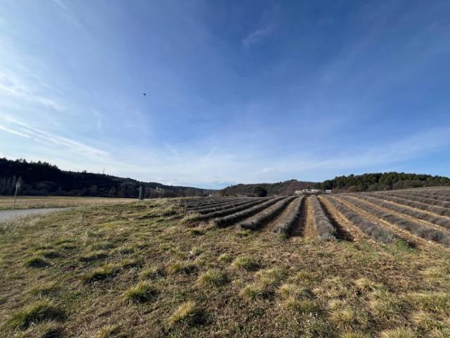 Terrain vente à Forcalquier, Roumoules