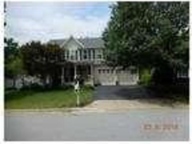 House for rent in Round Hill House for rent in Round Hill