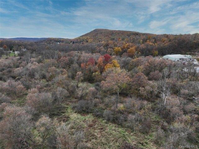 Land for sale in Florida, New York