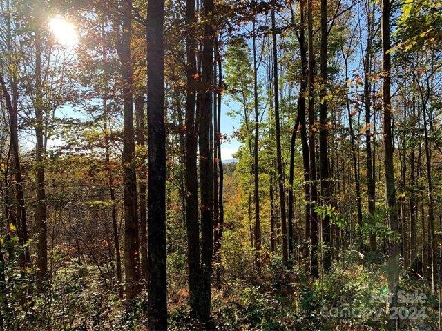 Land for sale in Lenoir