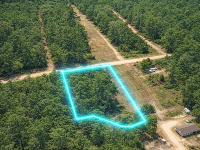 Land for sale in Walton, Florida