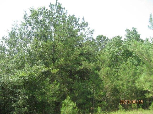 Land for sale in Waller, Texas