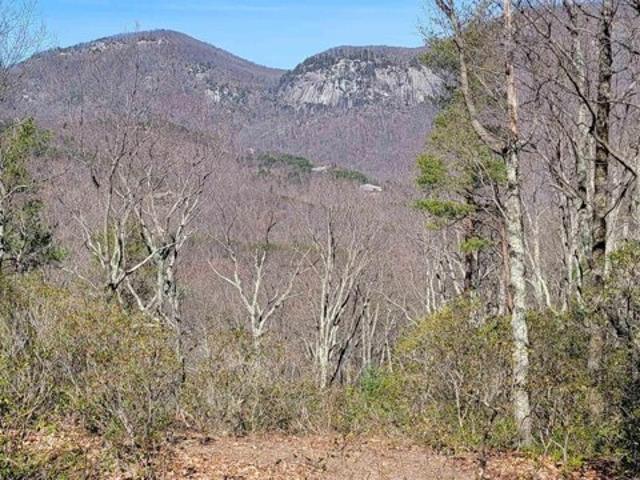 Land for sale in Landrum