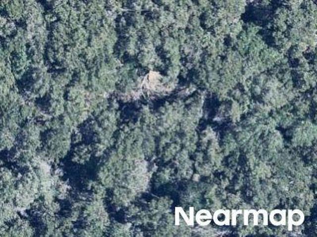 Land for sale in Texas