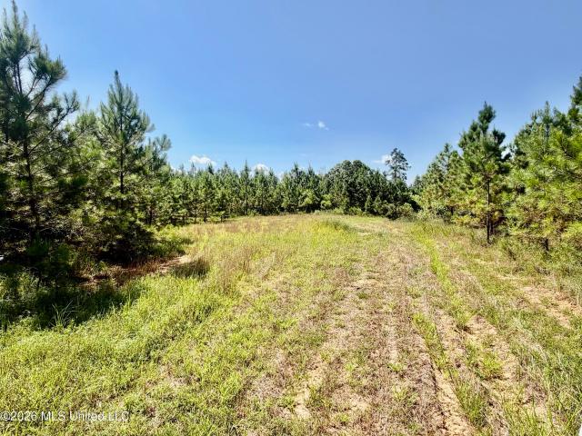 Land for sale in Coffeeville, Grenada County