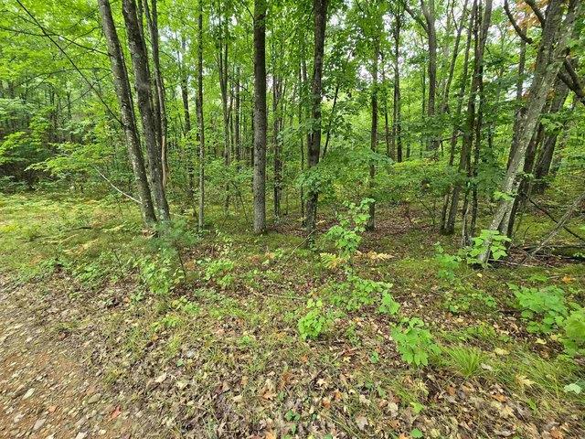 Land for sale in Wausaukee, Marinette County