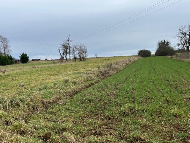 Terrain vente à Thionville, Roussy-le-village