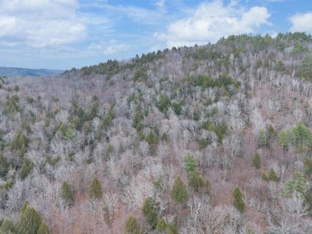Land for sale in Jamaica, Vermont