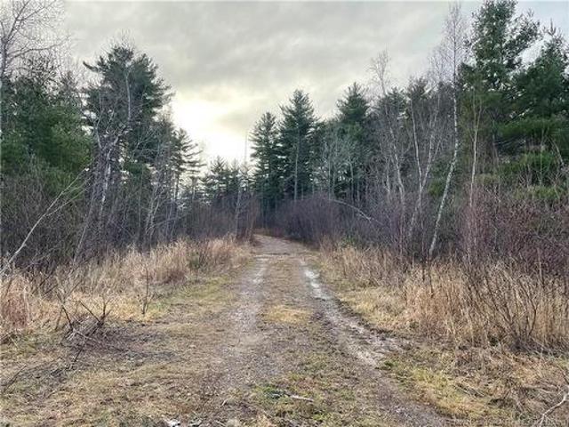 Land for sale in Waterborough, New Brunswick