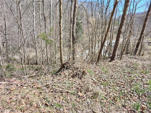 Land for sale in Clendenin, West Virginia