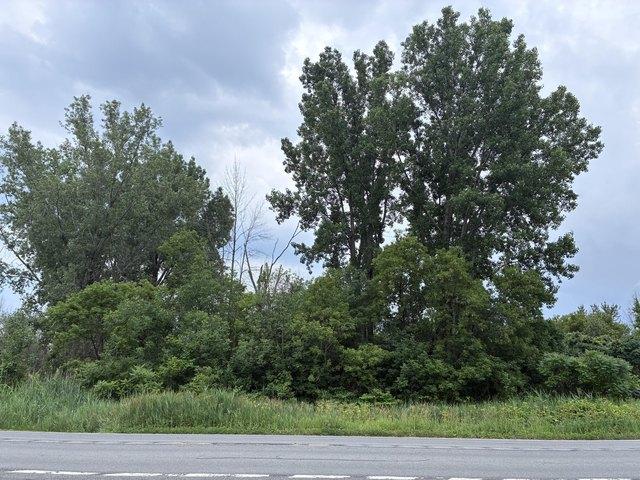 Land for sale in Champlain, New York