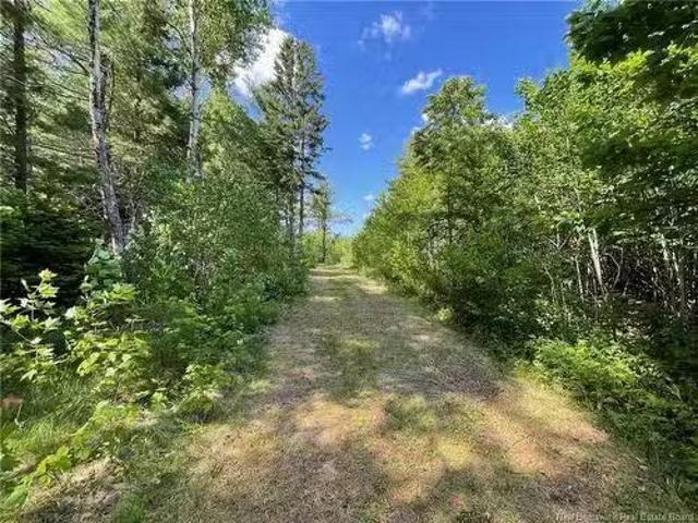 House for sale in Black River, New Brunswick