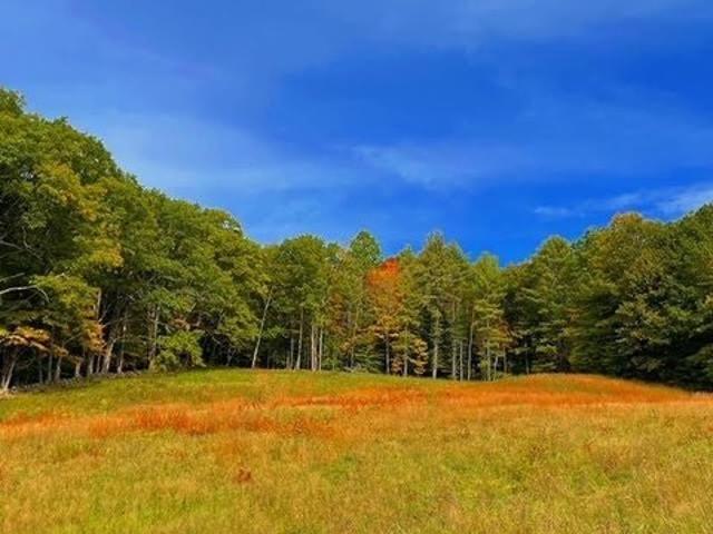 Land for sale in Plainfield, Sullivan County