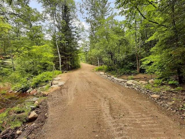 Land for sale in Weston, Vermont