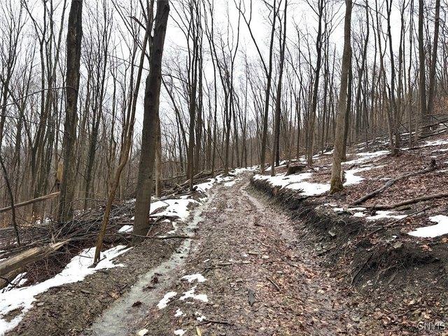 Land for sale in Hinsdale, New York