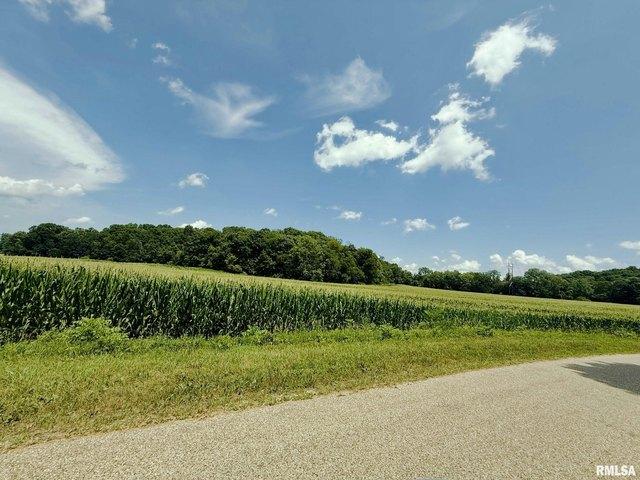 Farm for sale in Woodford, Illinois