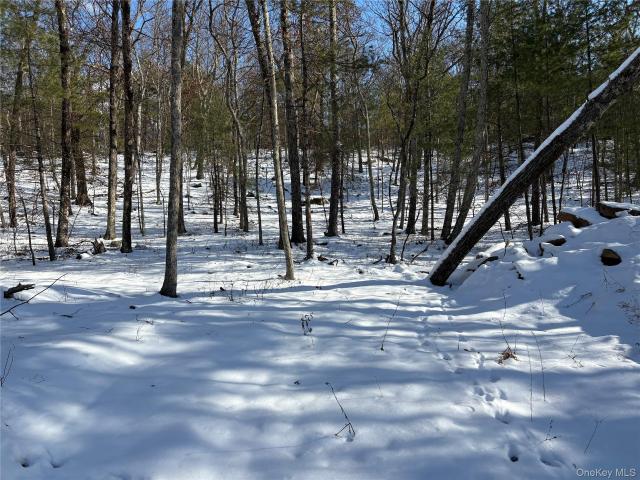 Land for sale in Hurley, New York